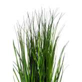 Green Grass Mini 30 cm