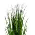 Green Grass Mini 30 cm