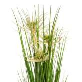 Sunny Flower Grass vertical height. 55 cm