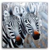 Obraz Ancona zebras
