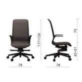 Mesh office chair with height adjustment and armrests Joseni