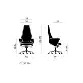Executive chair with high backrest and 5-star base Filandia