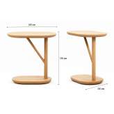 Low PC ash coffee table Perches