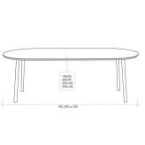 Oval wooden table Gailitz