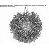 Crystal chandelier Silca