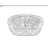 LED ceiling lamp made of Murano glass Quesada