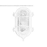 Wall lamp/ceiling lamp Mezieres