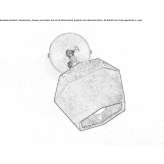 Adjustable cement wall lamp Denny