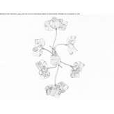 Halogen iron wall lamp Niebylec