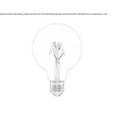 Bulb Corsley