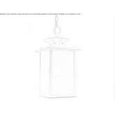 Żelazna lampa wisząca zewnętrzna Wyckoff