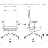 Leather office chair with 5-star base and headrest Patzite