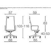 Mesh executive chair with 5-star base Rokosovo