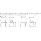 Chair based on a sleigh with a connecting device with armrests Mojarras