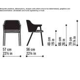 Ash chair with armrests Rapanasu