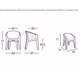 Polyethylene chair with armrests Paulis