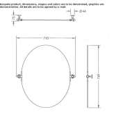 Tiltable, oval mirror for wall mounting Denbigh