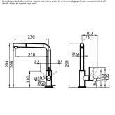 Kitchen faucet with swivel spout and pull-out spout Tramelan