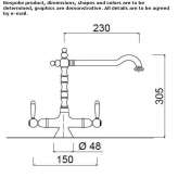 Two-hole countertop kitchen faucet with a swivel spout Slavnoye