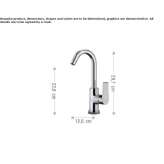 Single-lever kitchen faucet with swivel spout Rincon