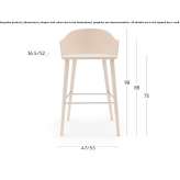 Ash stool Industry