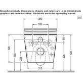 Electronic bidet module for the toilet Alden