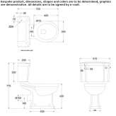 Standard free-connect toilet with a 520 lever cistern Canar