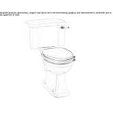 Closely connected floor-mounted glass Chinese toilet with external flush Landa