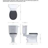 Combined porcelain toilet Azua