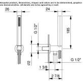 Steel shower head with hose Palleja