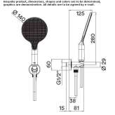 ABS shower head with handle Ararat