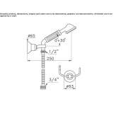 Shower head with handle Elsdorf