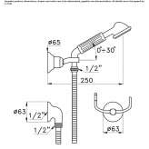 Wall-mounted shower head with handle Okemos