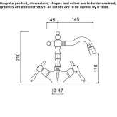 Countertop bidet tap with swivel spout Slavnoye