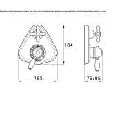 Thermostatic shower faucet Okemos