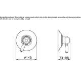 Thermostatic shower faucet Okemos