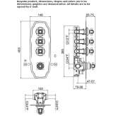 Concealed thermostatic shower mixer with plate Pankow