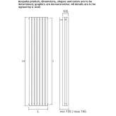 Vertical plate radiator made of carbon steel Birgi