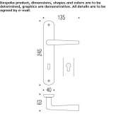 Cromall® window handle on the back plate Theillay