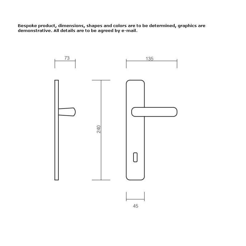 Bronze door handle on the back plate Gillen