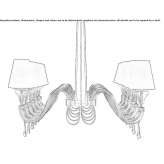 Żyrandol kryształowy wenecki Rasony