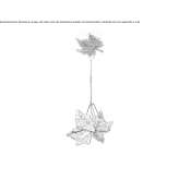 LED hanging lamp made of Murano glass Cordon