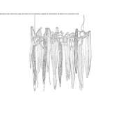 Handmade bronze hanging lamp Bendale