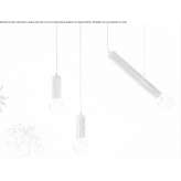 Birch hanging lamp Vrbanja