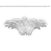 Venetian crystal ceiling lamp Ccapi