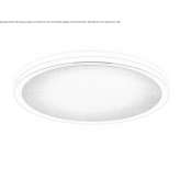 Wall lamp/ceiling lamp made of metal and PMMA Zimnicea