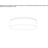 Aluminiowa lampa sufitowa LED Riaz