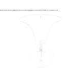 Raising the porcelain ceiling Hani