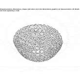 Metal halogen ceiling lamp Forua