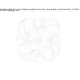 Kinkiet/lampa sufitowa Lentiflex® Soria